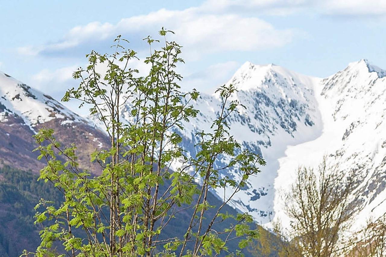 Appartement Snowbird 131-b *